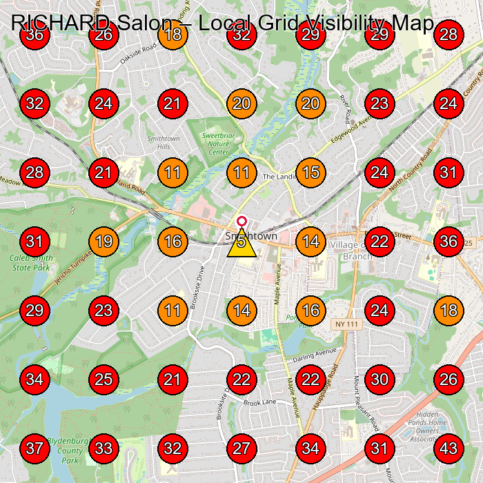 RICHARD Salon GeoGrid visibility map for Hair Salon in Smithtown
